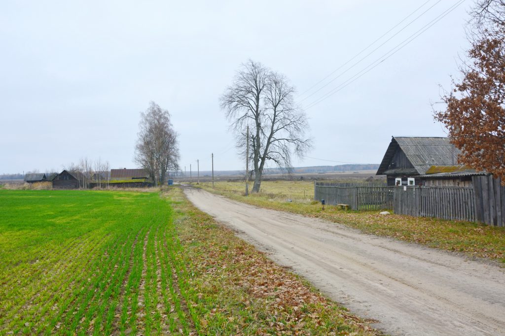pod-snos2-1024x682 Портрет деревни Антоновка: 300-летняя деревня, которой скоро не станет