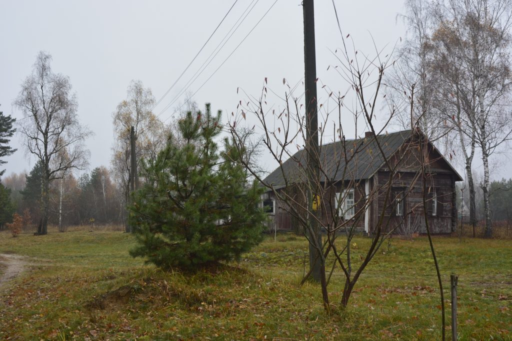 dsc4906-1024x682 Портрет деревни Рудня-Споницкая