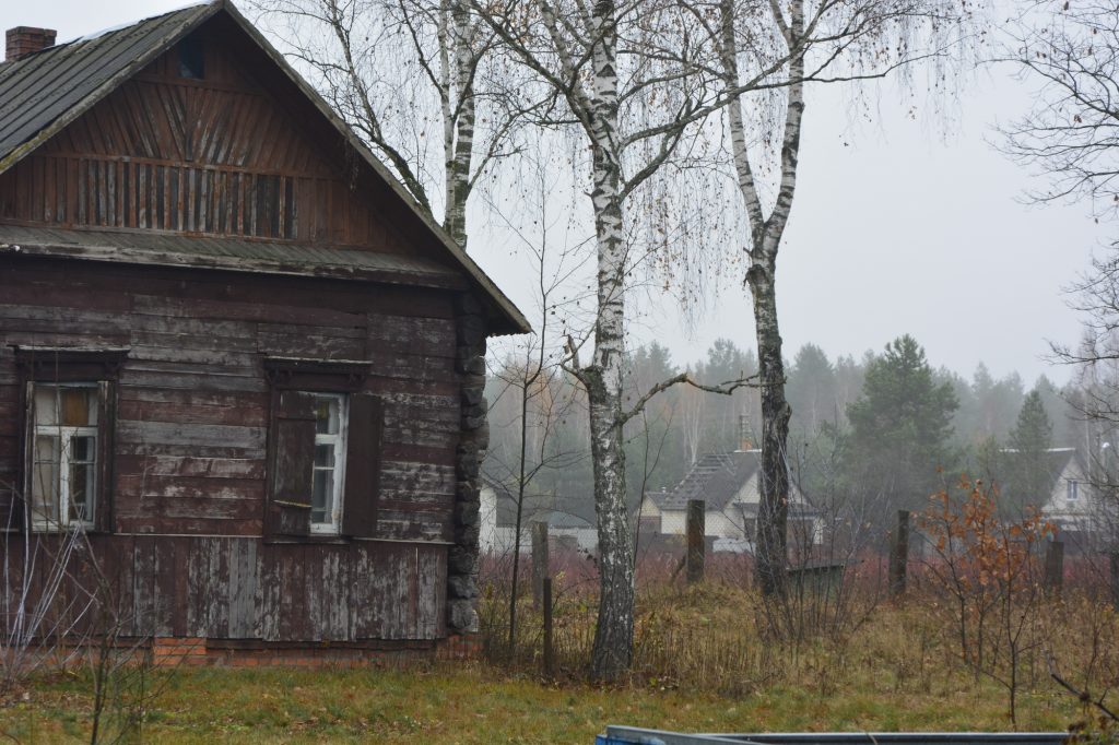 dsc4910-1024x682 Портрет деревни Рудня-Споницкая