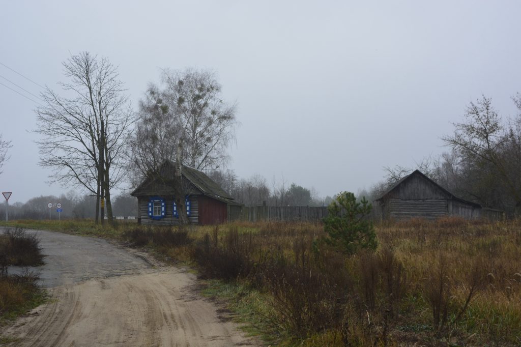 dsc4924-1024x682 Портрет деревни Рудня-Споницкая