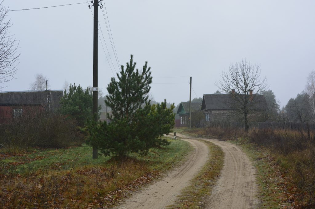 dsc4927-1024x682 Портрет деревни Рудня-Споницкая