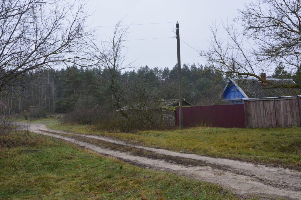 dsc4948-1024x682 Портрет деревни Рудня-Споницкая