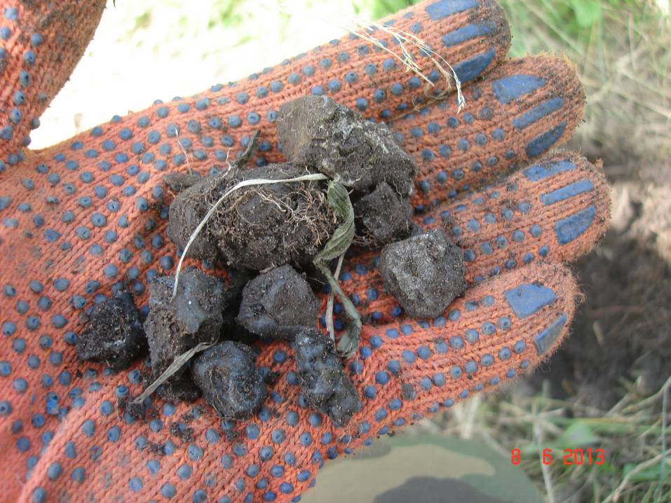 image007 Космическая загадка Рудни-Столбунской