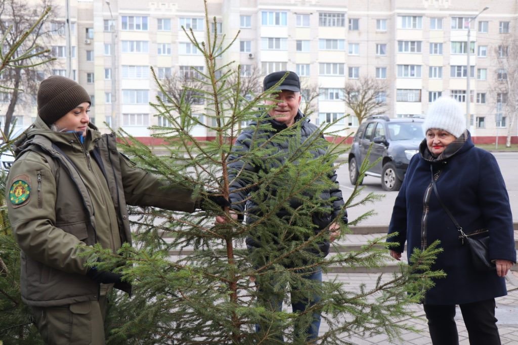 img_6964-1024x682 В Ветке начал работу предновогодний елочный базар