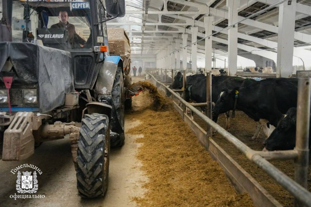 photo_2026-01-12_14-02-11-1024x682 Как поддерживать удои зимой: в Ветковском районе поделились опытом кормления КРС в морозы