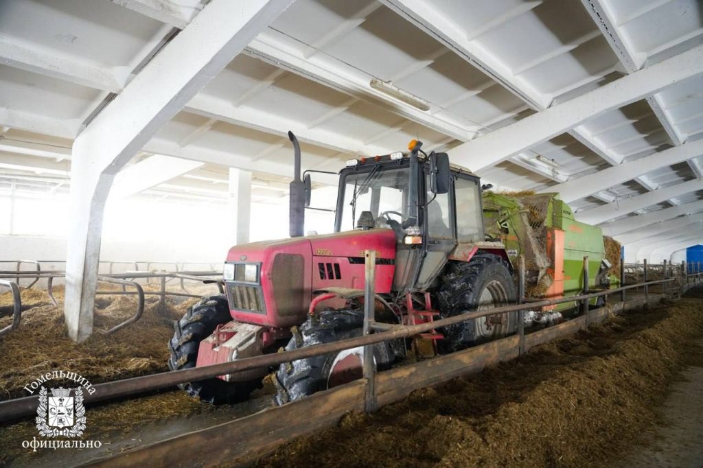 photo_2026-01-12_14-02-11-2-1024x682 Как поддерживать удои зимой: в Ветковском районе поделились опытом кормления КРС в морозы