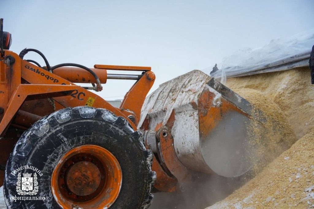 photo_2026-01-12_14-02-11-4-1024x682 Как поддерживать удои зимой: в Ветковском районе поделились опытом кормления КРС в морозы