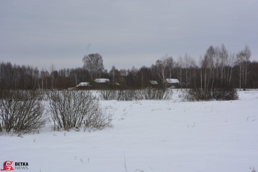 dsc5750-1024x682 Планы на землю