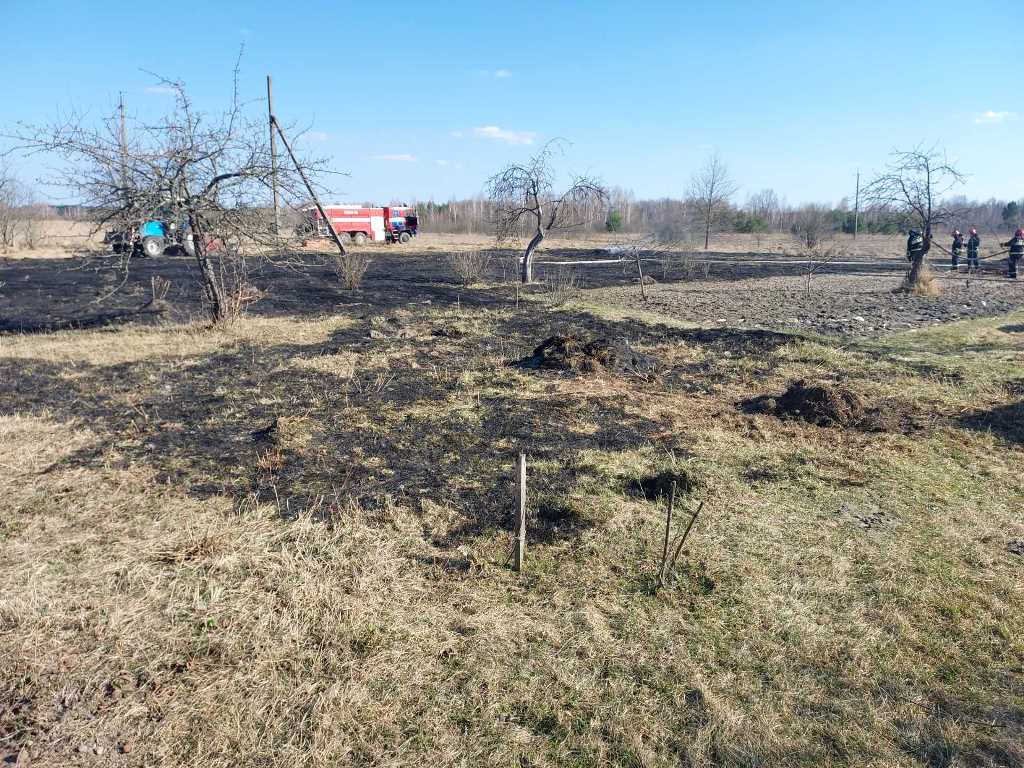 content_img-2 С начала года в области зафиксировано 88 возгораний в природных экосистемах