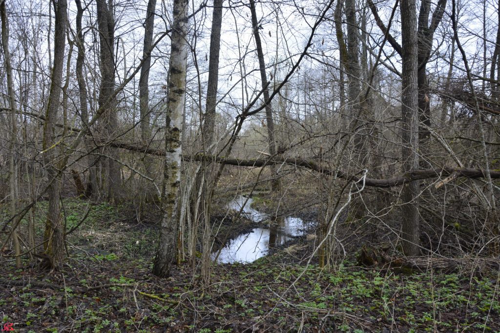 bykovecz-1024x682 Три усадьбы в зоне отчуждения