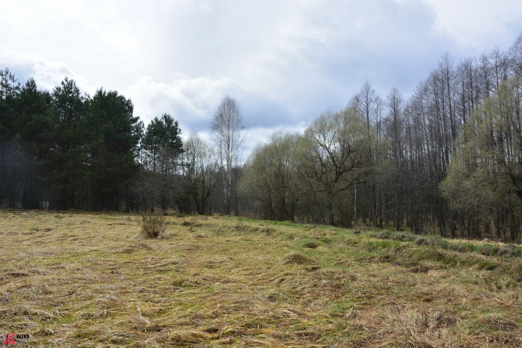 bykovecz-2-1024x682 Три усадьбы в зоне отчуждения