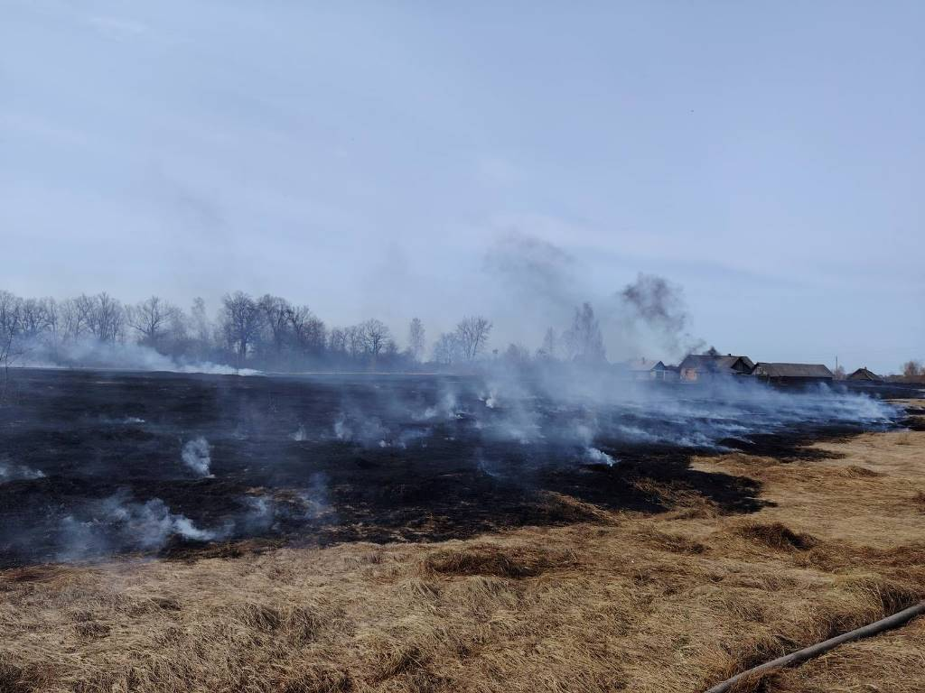 content_img-1-1 С начала года в области зафиксировано 413 возгораний в природных экосистемах