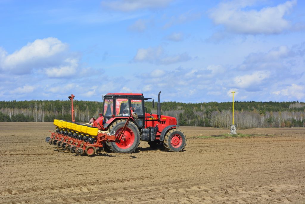dsc7180-1024x683 Сев кукурузы начался в Ветковском районе