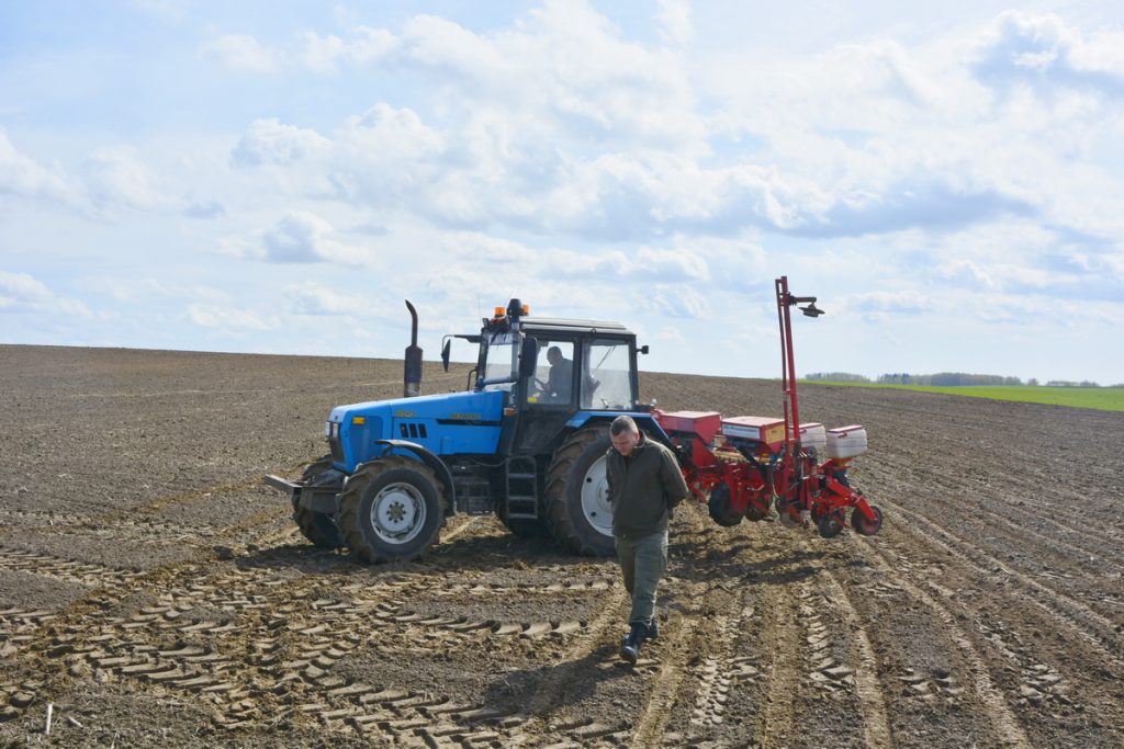 dsc7194-1024x683 Сев кукурузы начался в Ветковском районе