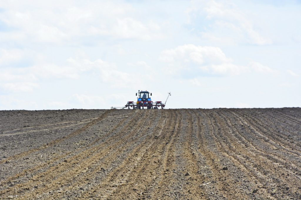 dsc7206-1024x683 Сев кукурузы начался в Ветковском районе
