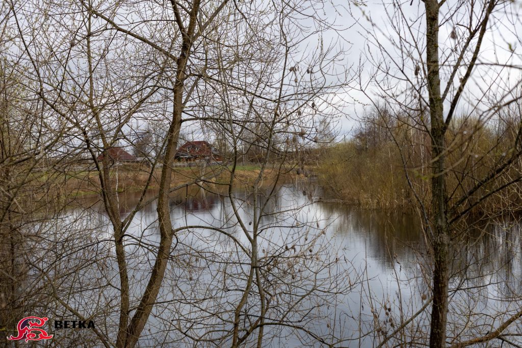 img_8399-1024x682 О былом и насущном Железницкого храма