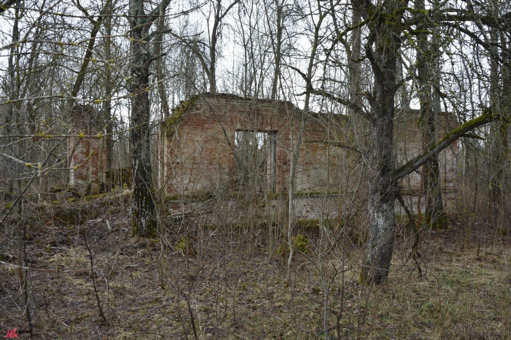 patyosy-1024x682 Три усадьбы в зоне отчуждения