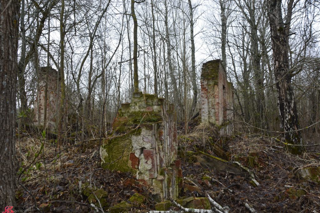 patyosy-2-1024x682 Три усадьбы в зоне отчуждения